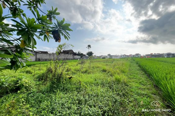 Image 2 from 24 are streetfront for sale leasehold near cemagi beach