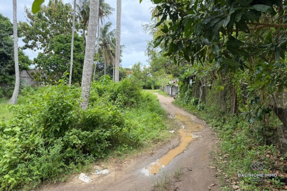 Image 8 from 25,5 hectares de terrains en zone touristique sont à vendre en bail emphytéotique à Nusa Lembongan.