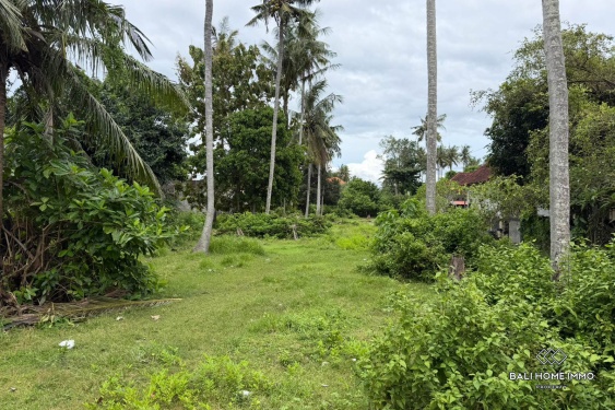 Image 4 from 25,5 hectares de terrains en zone touristique sont à vendre en bail emphytéotique à Nusa Lembongan.