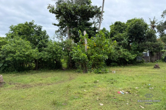 Image 3 from 25,5 hectares de terrains en zone touristique sont à vendre en bail emphytéotique à Nusa Lembongan.