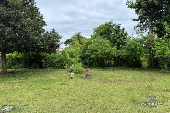 Image 2 from 25,5 hectares de terrains en zone touristique sont à vendre en bail emphytéotique à Nusa Lembongan.