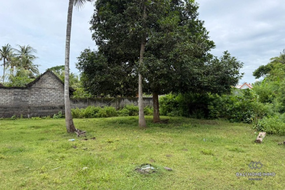 Image 5 from 25,5 hectares de terrains en zone touristique sont à vendre en bail emphytéotique à Nusa Lembongan.