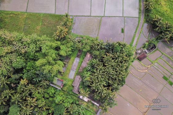 Image 2 from Land for Sale Leasehold in Kedungu Bali
