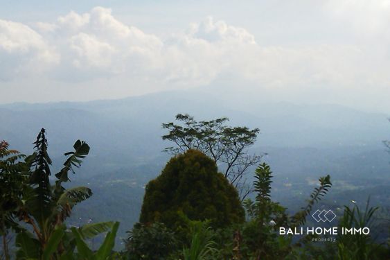 Image 5 from 27 are land with mountain view for sale in Munduk Bali
