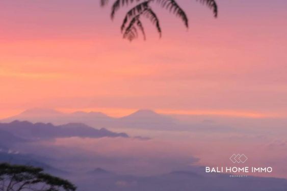 Image 4 from 27 are land with mountain view for sale in Munduk Bali