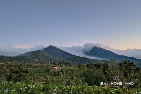 Image 2 from Tanah 27 are dengan pemandangan gunung dijual di Munduk Bali