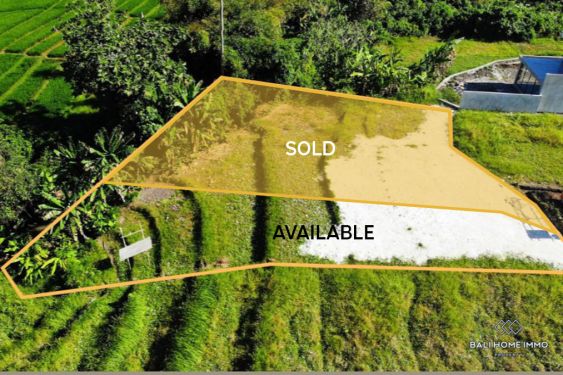 Image 2 from 3.62 ARE RIVERSIDE LAND FOR SALE LEASEHOLD IN SESEH TOURISTIC ZONE