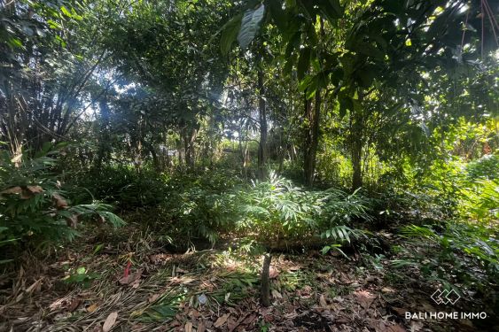 Image 2 from 3.7 are land with river view for sale leasehold in Tanah Lot Bali