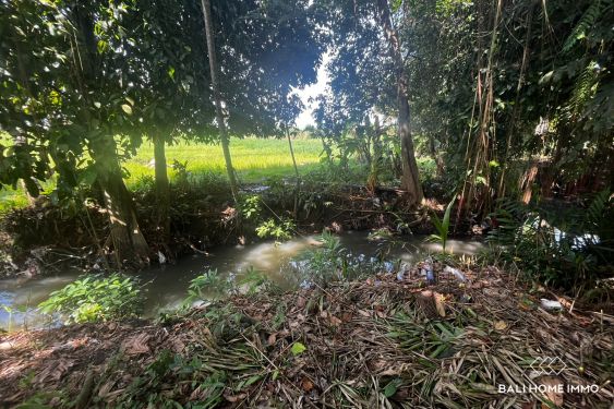 Image 3 from 3.7 are land with river view for sale leasehold in Tanah Lot Bali