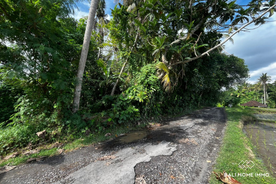 Image 6 from 3.5 are land with ricefield view for sale in kedungu