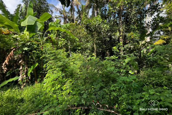 Image 2 from 3.5 are land with ricefield view for sale in kedungu