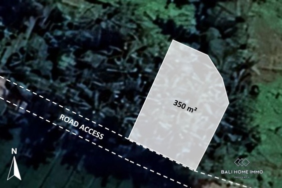 Image 1 from 3.5 are land with ricefield view for sale in kedungu