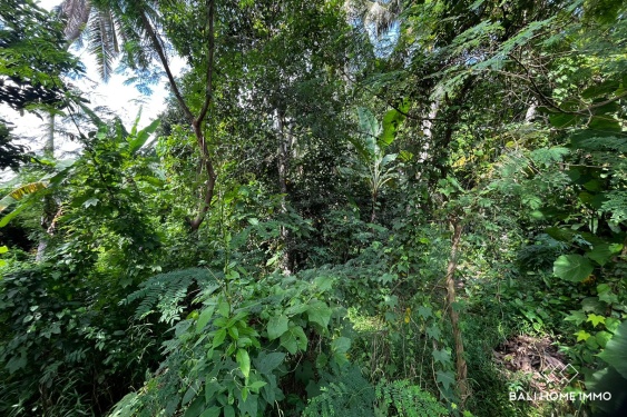 Image 3 from 3 are land with ricefield view for sale in kedungu