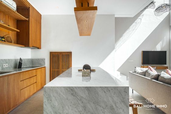 Image 9 from 3 Bedroom Brand New Villa in a complex for yearly rental in Pererenan Bali