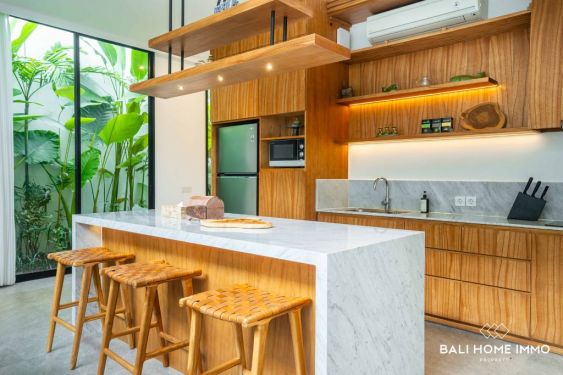 Image 8 from 3 Bedroom Brand New Villa in a complex for yearly rental in Pererenan Bali