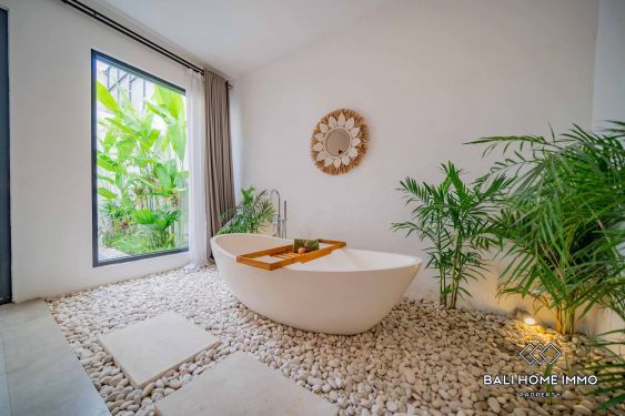 Image 14 from 3 Bedroom Family Villa for Rent in Canggu Berawa