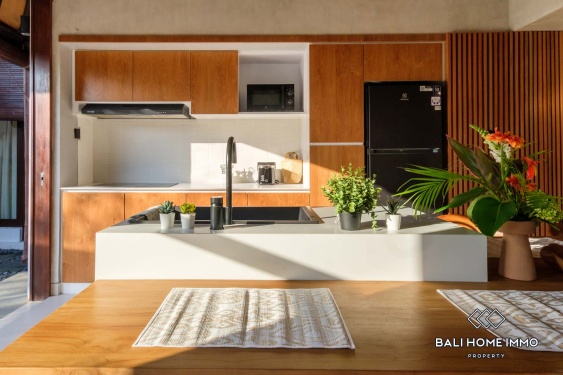 Image 6 from 3 Bedroom Family Villa for Rent in Canggu Residential Side