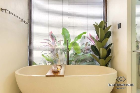 Image 20 from 3 Bedroom Family Villa for Rent in Canggu Residential Side