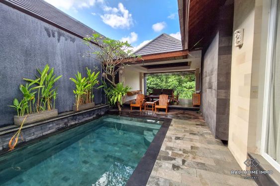 Image 3 from 3 Bedroom Family Villa For Rent in Canggu Babakan