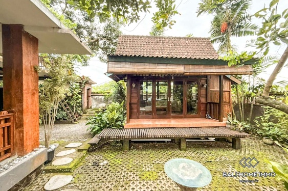 Image 18 from 3 Bedroom Family Villa for Rent in Cepaka
