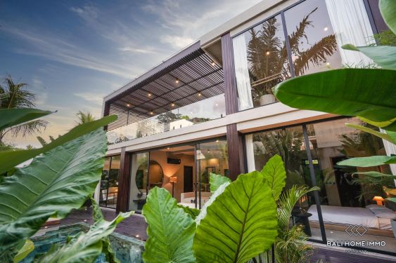 Image 2 from 3 Bedroom Family Villa for Rent in Northside Pererenan