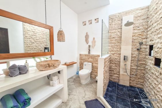 Image 19 from 3 Bedroom Family Villa For Rent in Pererenan Beachside