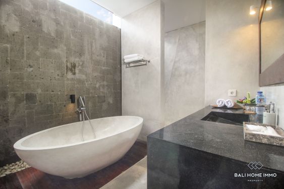 Image 14 from 3 Bedroom Villa for Monthly Rental walking distance to Seseh Beach