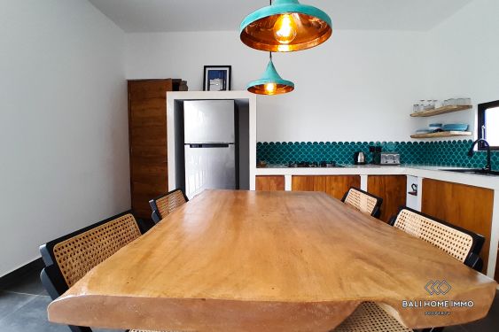 Image 9 from 3 Bedroom Family Villa with Garden For Rent in Bali Canggu