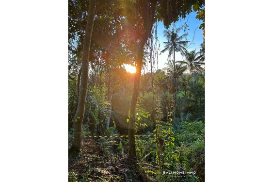 Image 2 from Villa d'architecture moderne de 3 chambres à vendre à Ubud