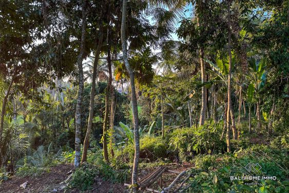 Image 3 from Dijual Vila Arsitektur Modern 3 Kamar Tidur di Ubud