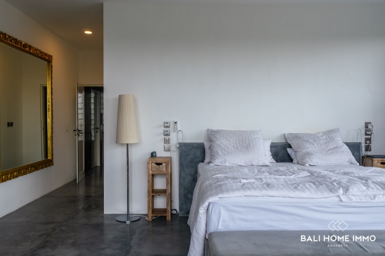 Image 19 from Villa Modern 3 kamar dijual hak milik berpemandanga sawah di Babakan Canggu