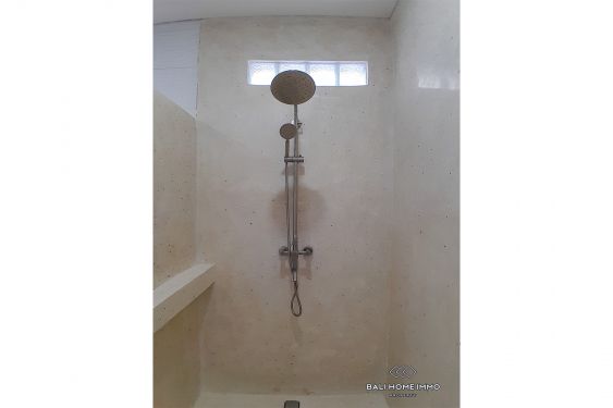 Image 17 from 4 Bedroom Newly Built Villa with Ricefield View For Rent in Padonan Canggu