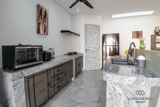 Image 6 from 4 Bedroom Newly Built Villa with Ricefield View For Rent in Padonan Canggu