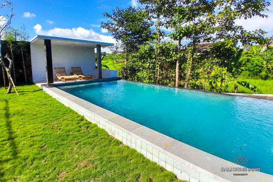 Image 3 from 4 Bedroom Family Villa with Spacious Garden For Sale Leasehold in Padonan Canggu