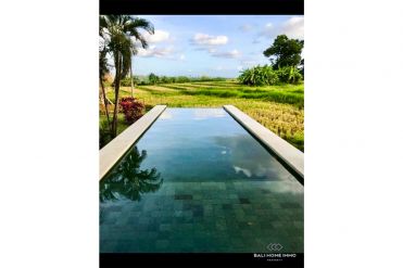 Image 3 from 3 Bedroom Ricefield View Villa For Sale Leasehold in Cemagi - Seseh