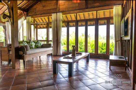 Image 4 from 3 Bedroom Ricefield View Villa for Rent in Ubud