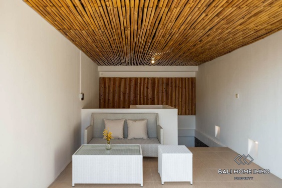 Image 13 from 3 Bedroom Villa For Rent in Canggu Batu Bolong