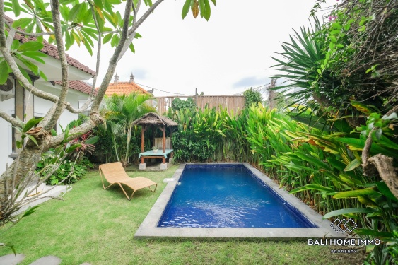 Image 1 from Villa 3 Kamar Disewakan di Canggu Batu Bolong