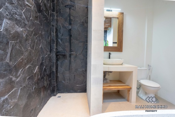 Image 16 from Villa 3 Kamar Disewakan di Canggu Berawa