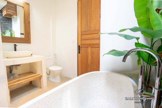 Image 18 from Villa 3 Kamar Disewakan di Canggu Berawa