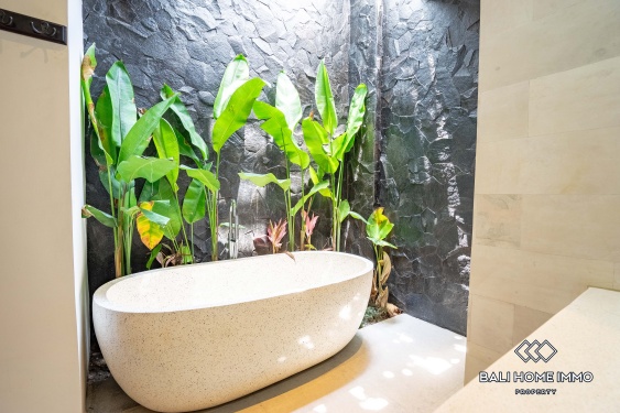 Image 19 from Villa 3 Kamar Disewakan di Canggu Berawa