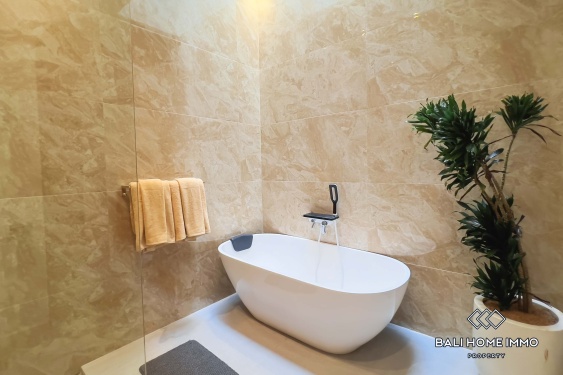 Image 17 from 3 Bedroom Villa for Rent in Canggu Berawa