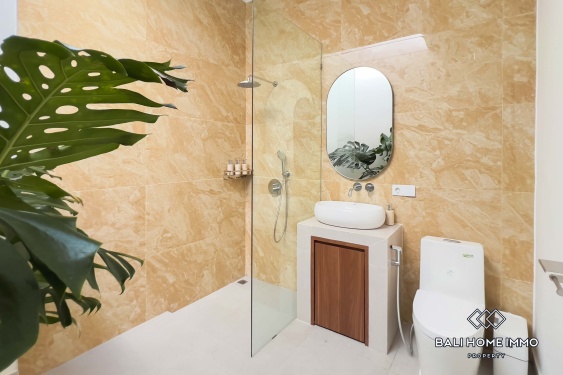 Image 14 from 3 Bedroom Villa for Rent in Canggu Berawa