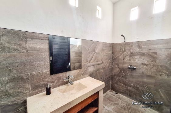 Image 12 from 3 Bedroom Villa for Rent in Canggu Residential Side