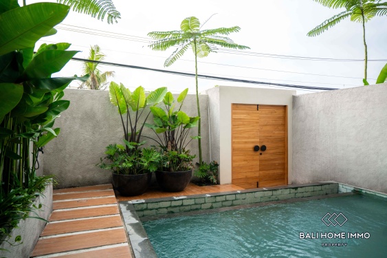 Image 17 from 3 Bedroom Villa For Rent in Canggu Residential Side