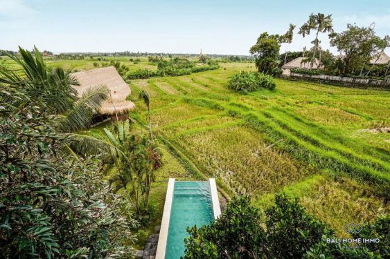 Image 13 from Vila 3 Kamar Pemandangan Sawah Dijual di Seseh Bali