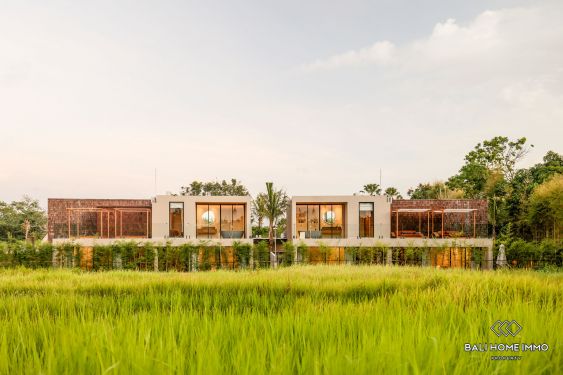 Image 19 from Villa moderne de 3 chambres avec vue sur la rizière à louer près de Nyanyi Beach