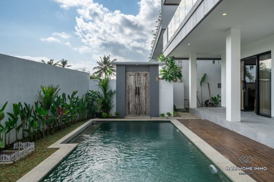 Image 20 from Villa 3 Kamar Disewakan di Pererenan