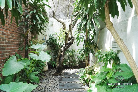 Image 19 from 3 Bedroom Villa for Rent in Seminyak Residential Side