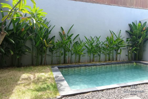 Image 2 from 3 Bedroom Villa for Rent Yearly in Padonan Canggu